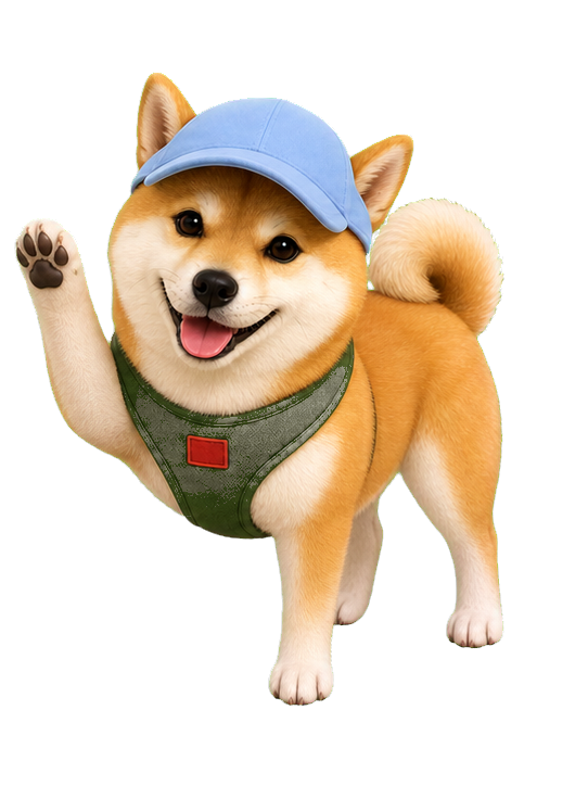 水色の帽子をかぶった柴犬のつむぎ